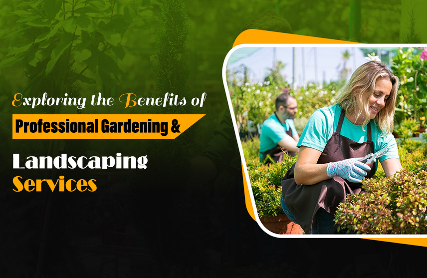 Exploring the Benefits of Professional Gardening & Landscaping Services